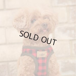 画像3: ソフトフェザーハーネス　チェック　スター【レッド】