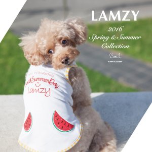 画像3: スイカ　ポケットタンクトップ