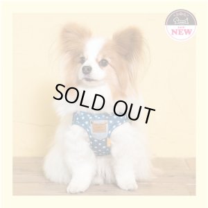 画像2: ソフトフェザーハーネス　デニムスター