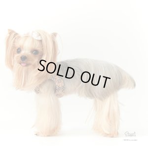 画像3: ソフトフェザーハーネスポケットタータン