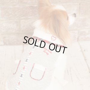 画像3: ボーダーキルティング　ウエアー【ネイビー】