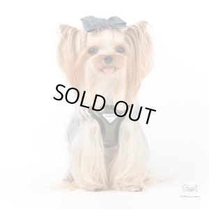 画像3: ソフトフェザーハーネス　スポーツメッシュ