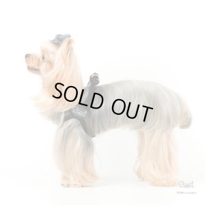 画像4: ソフトフェザーハーネス　スポーツメッシュ