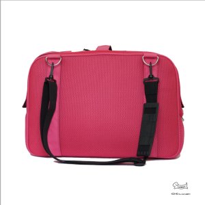 画像2: 軽量メッシュキャリー【ピンク】