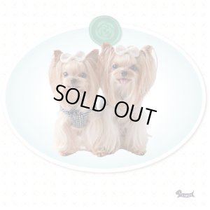 画像3: ソフトフェザーハーネスDogToothハーネス【ブラック】