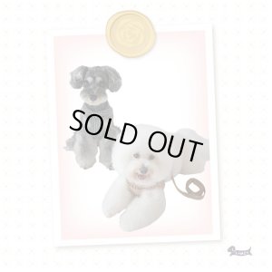 画像4: ソフトフェザーハーネスDogToothハーネス【ブラック】