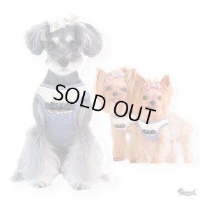 画像4: ソフトフェザーハーネス【レースハーネス】