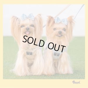 画像3: ソフトフェザーハーネス　　スタッズ（ブラウン）