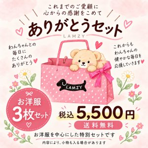 画像1: ありがとうセット