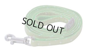 画像1: カラフルピクニックリード　グリーン