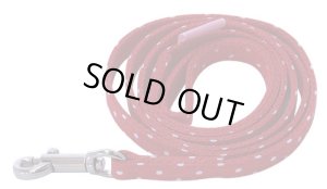 画像1: カラフルピクニックリード　レッド