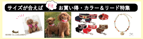 6sale