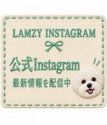 LAMZYインスタグラム
