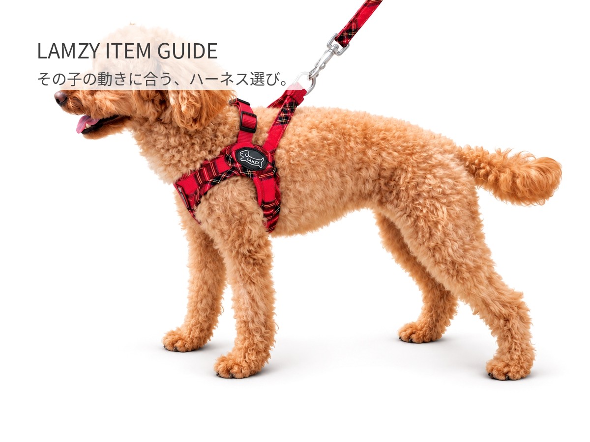 LAMZY 小型犬用ハーネス 商品ガイド