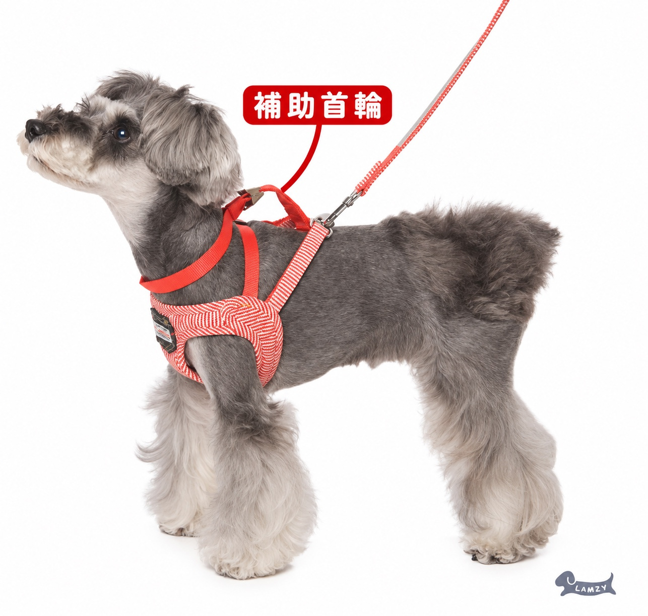 LAMZY デニムポケット ネイビー 補助首輪付き小型犬用ハーネスの装着イメージ