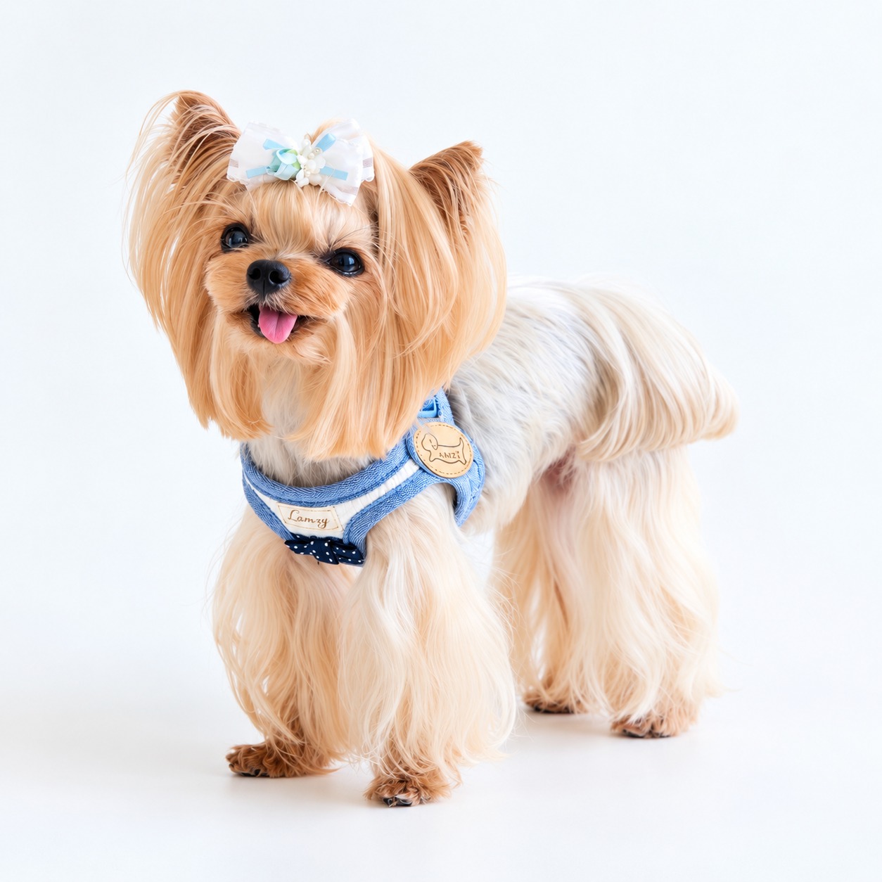 LAMZYの小型犬用ハーネスを着けたヨークシャーテリア 首元と胸まわりが見える装着例