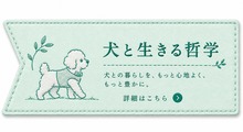 犬と生きる哲学