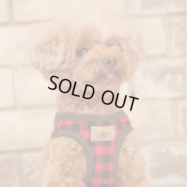 画像3: ソフトフェザーハーネス　チェック　スター【レッド】 (3)