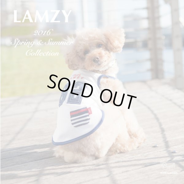 画像3: キラキラスポーティ　ボーイ (3)