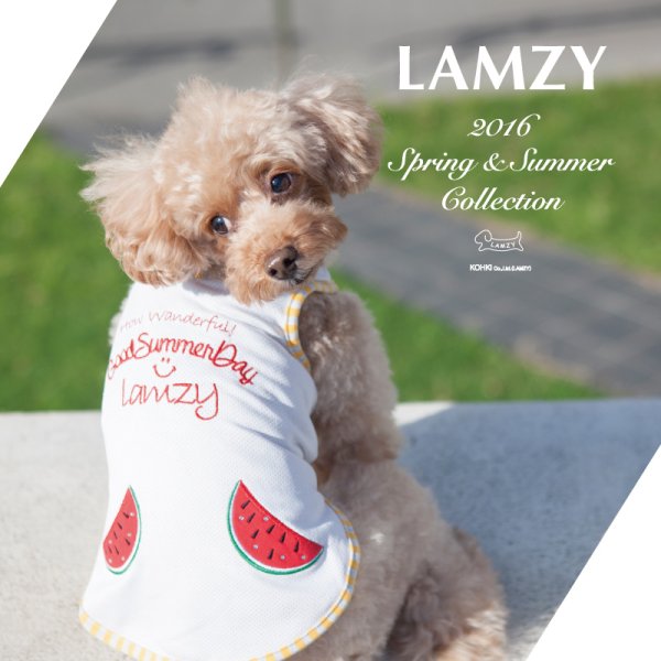 画像3: スイカ　ポケットタンクトップ (3)