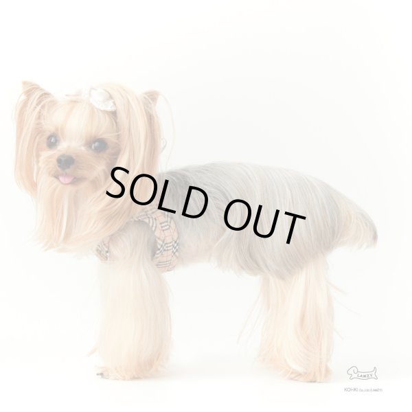 画像3: ソフトフェザーハーネスポケットタータン (3)