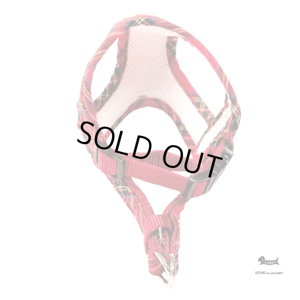 画像3: タータン (3)
