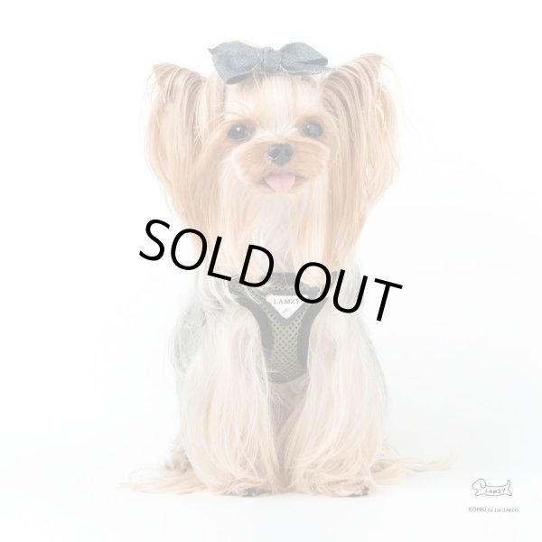 画像3: ソフトフェザーハーネス　スポーツメッシュ (3)