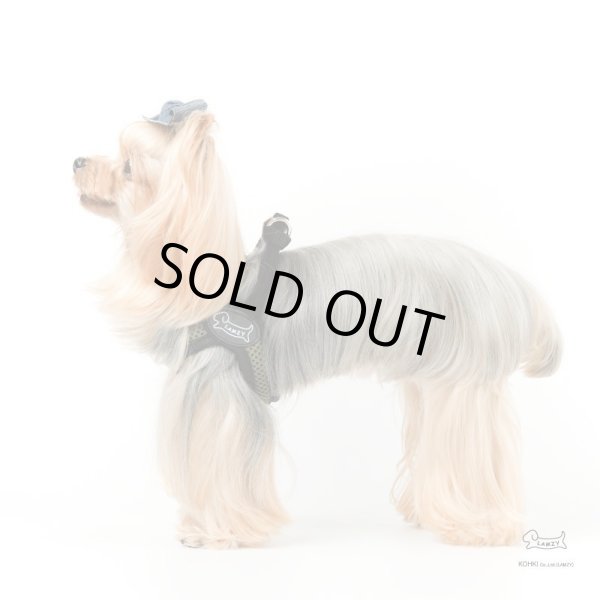 画像4: ソフトフェザーハーネス　スポーツメッシュ (4)