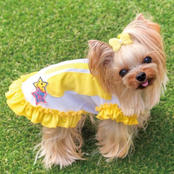 画像4: LEDワンピース(暗くても安心） (4)