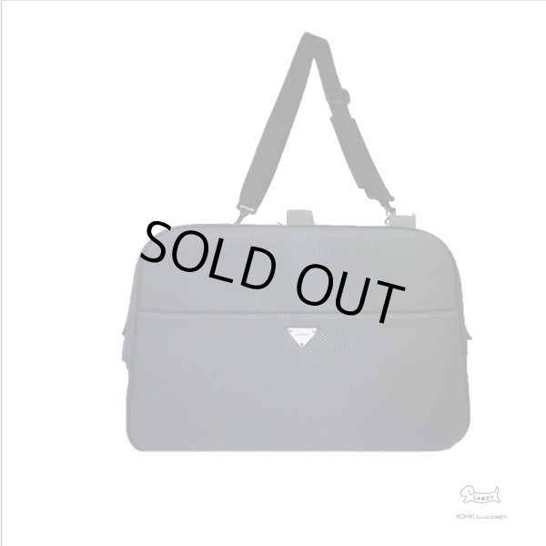 画像3: 軽量メッシュキャリー【グレイ】 (3)