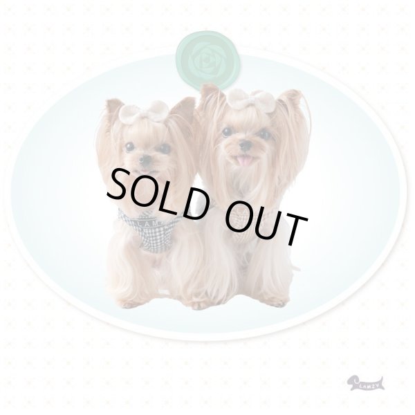 画像3: ソフトフェザーハーネスDogToothハーネス【ブラック】 (3)