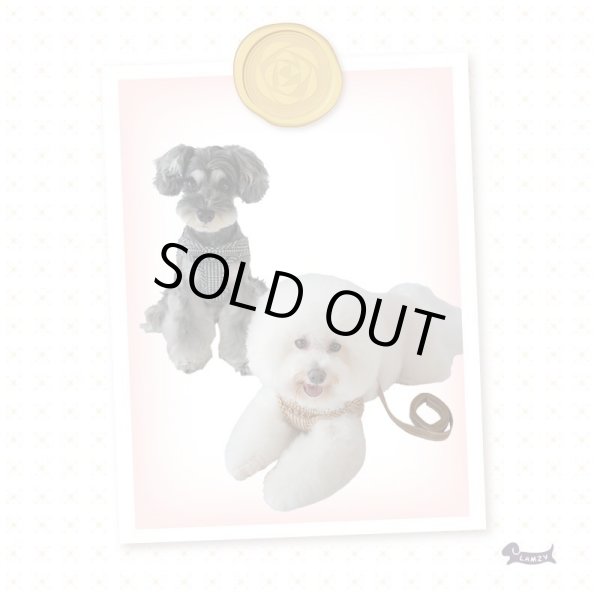 画像4: ソフトフェザーハーネスDogToothハーネス【ブラック】 (4)