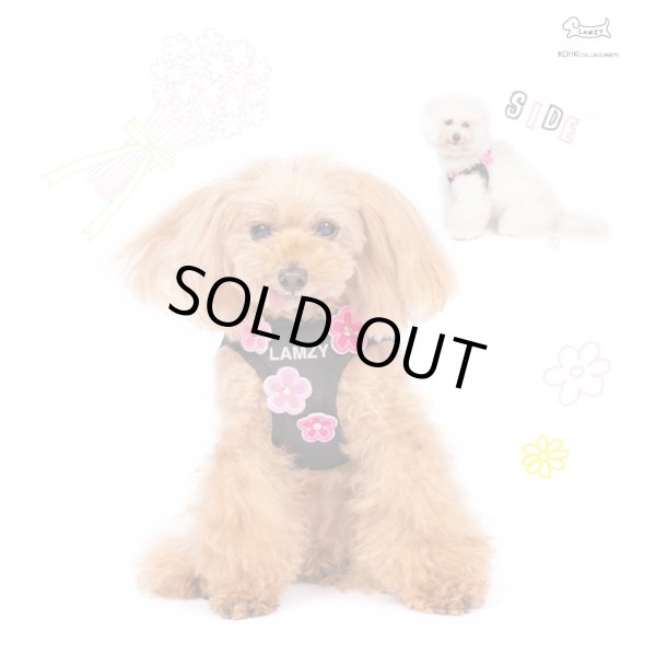 画像2:  ソフトフェザーハーネス　ツインフラワー（横から見たら可愛いシリーズ）【ブラック】 (2)