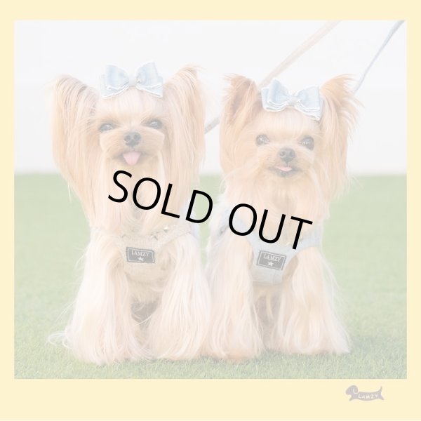 画像3: ソフトフェザーハーネス　　スタッズ（ブルー） (3)