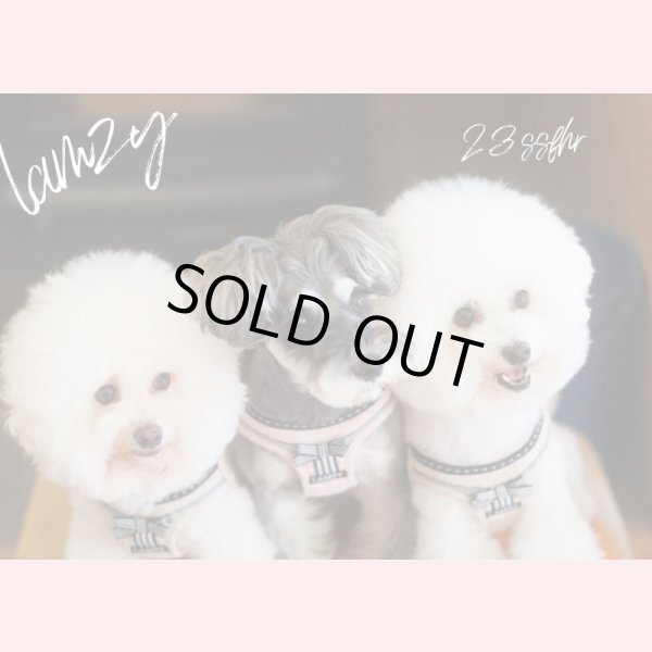 画像3: ソフトフェザーハーネス　　リボン（ベージュ） (3)