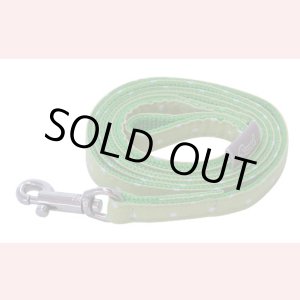 画像: カラフルピクニックリード　グリーン