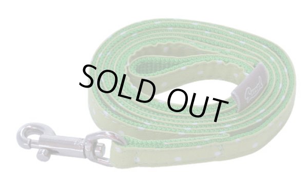 画像1: カラフルピクニックリード　グリーン (1)