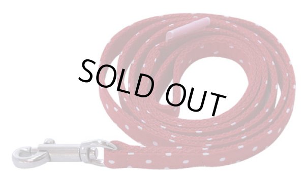 画像1: カラフルピクニックリード　レッド (1)