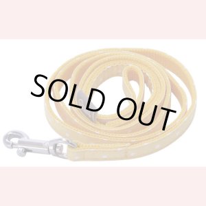 画像: カラフルピクニックリード　イエロー