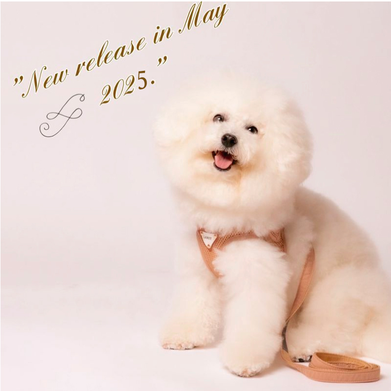 犬用ウエアー・カラー＆リードなどおしゃれなワンコグッズ LAMZY